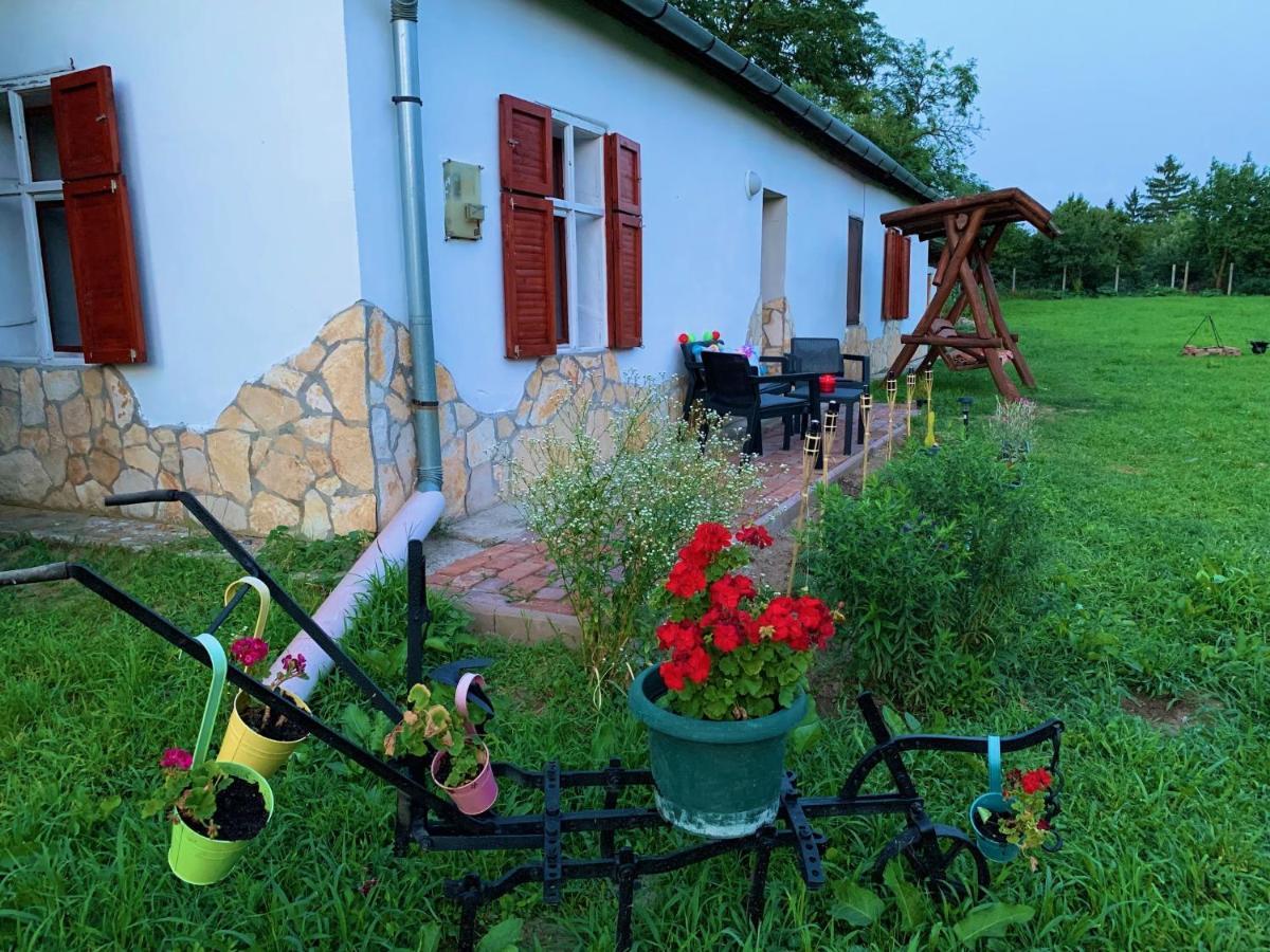 Apartmán Tiszai Fenyves
