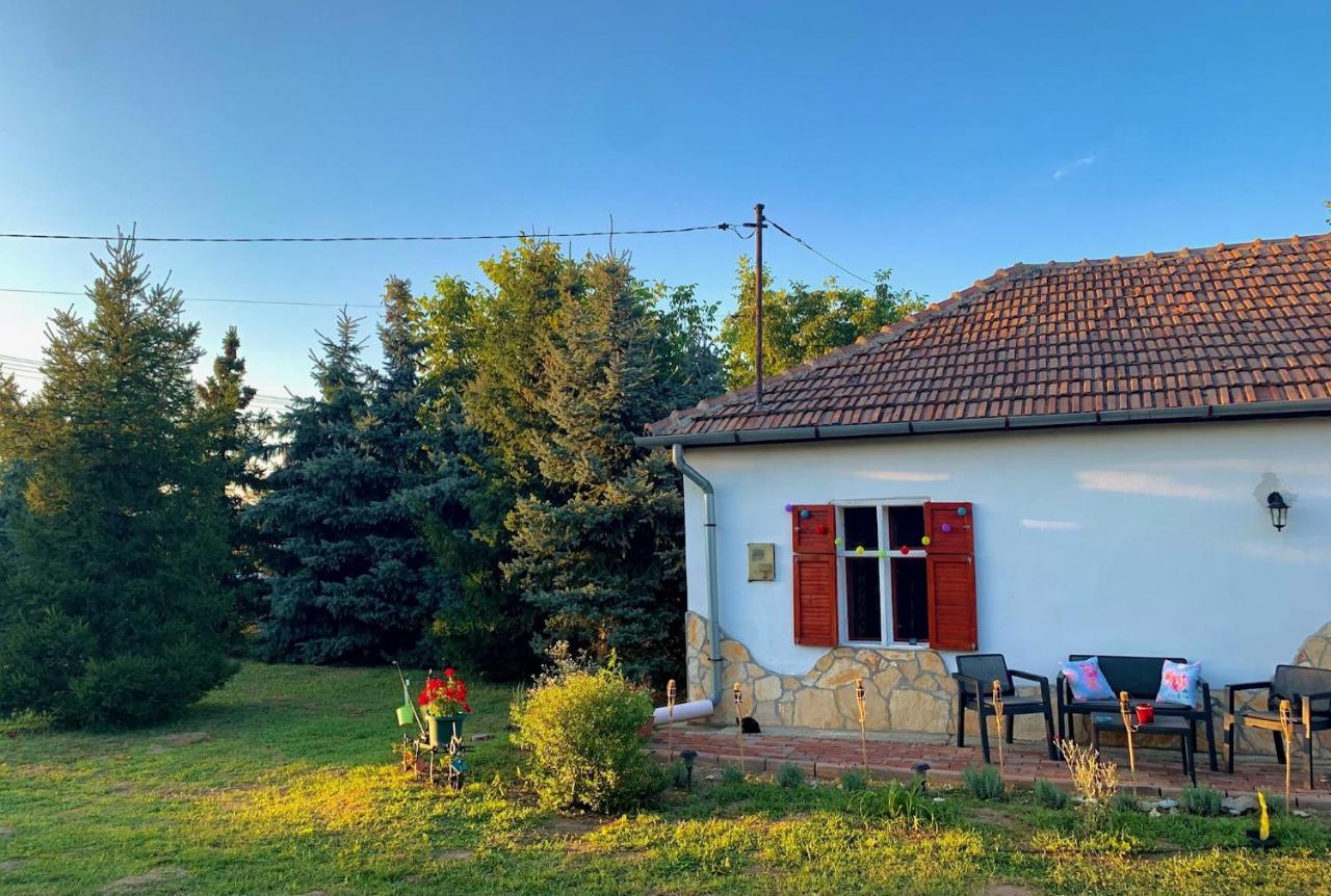 Apartment Tiszai Fenyves