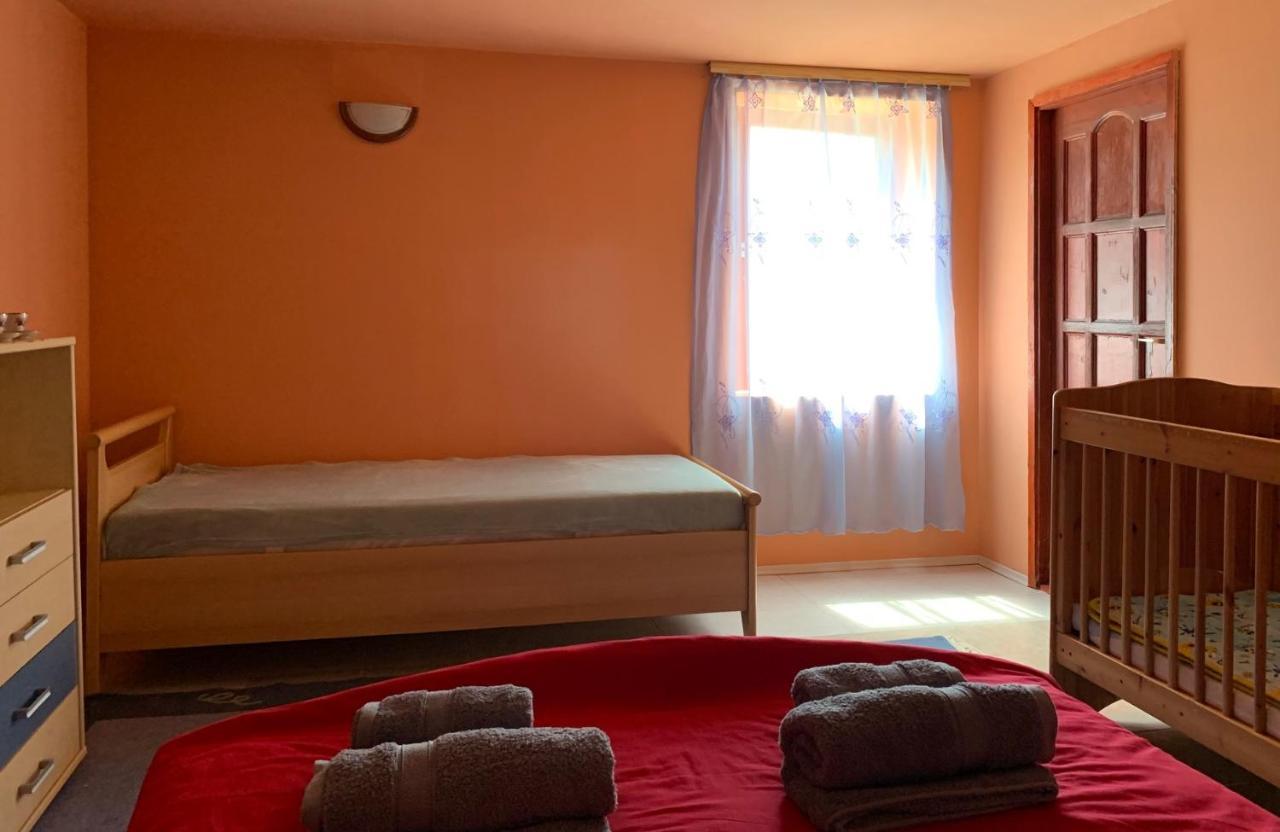 Apartment Tiszai Fenyves